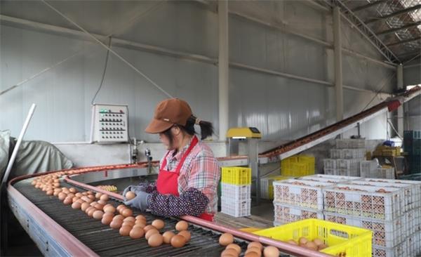 0914368144577041_new_content_看图王.jpg 0914368144577041_new_content_看图王.jpg