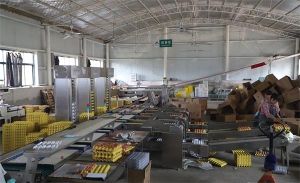 0914537600020731_new_content_看图王(1).jpg 0914537600020731_new_content_看图王(1).jpg