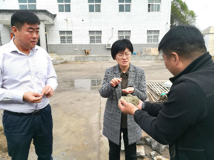 石龙区委书记王玉娟调研扶贫项目和带贫基地建设情况