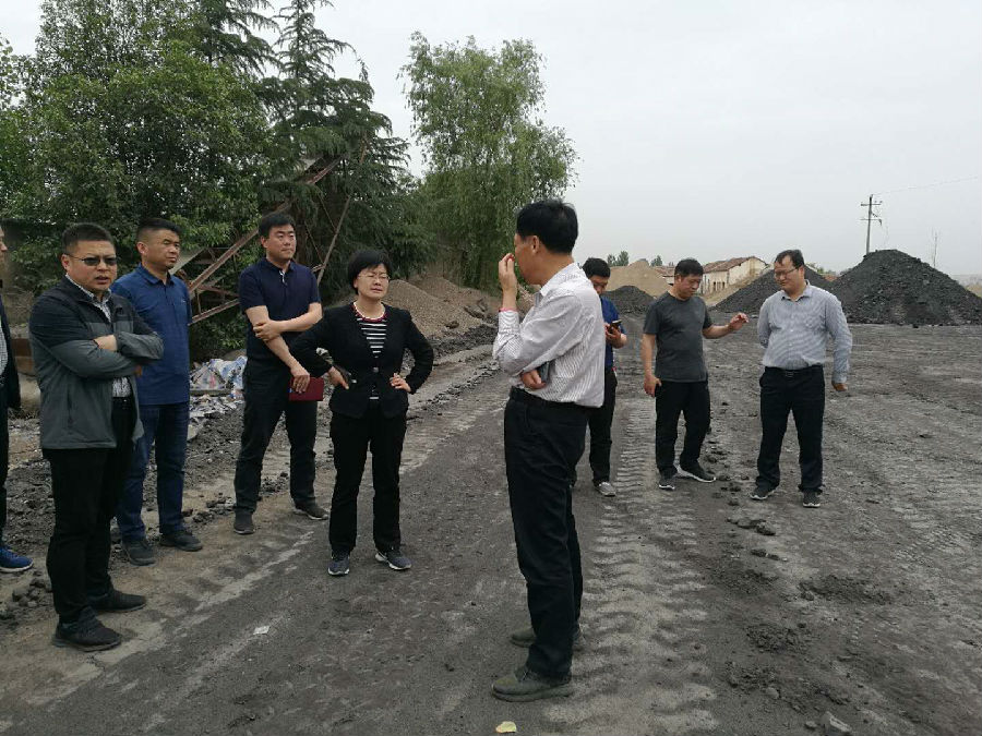 区委书记王玉娟对全区小散乱污环境整治情况进行督导检查