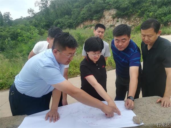 区委书记王玉娟对亿利生态修复项目推进情况进行调研