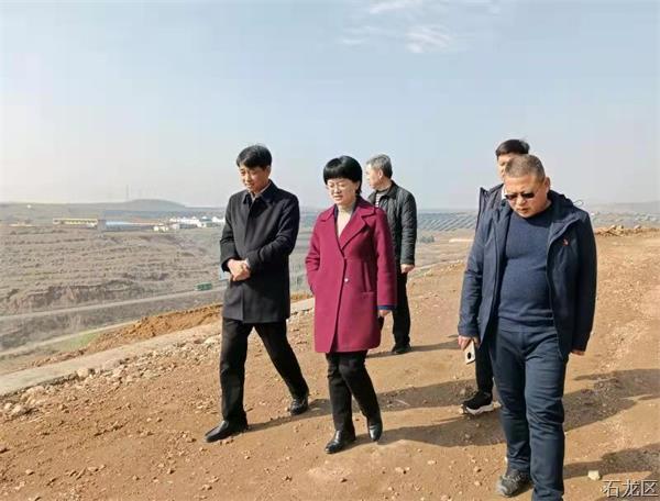 区委书记王玉娟对龙兴街道办事处生态治理和农村产业发展等工作进行