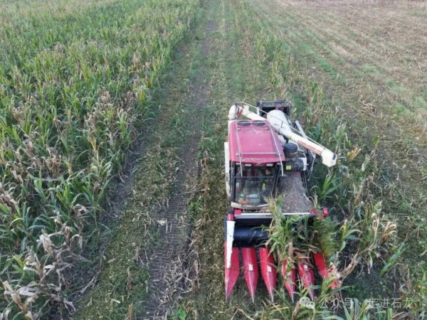 101511.jpg 101511.jpg