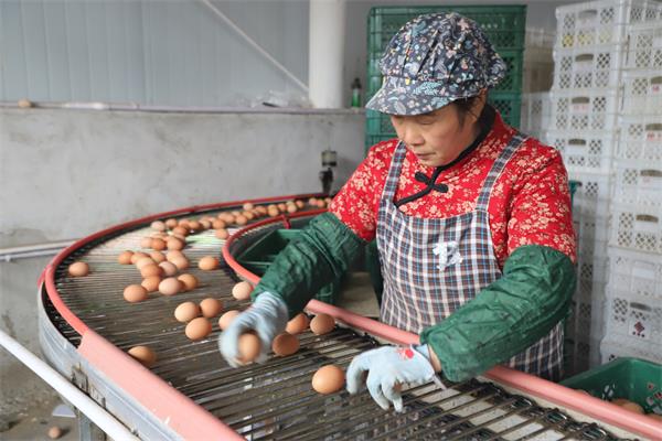 1619342930652605.jpg 1619342930652605.jpg