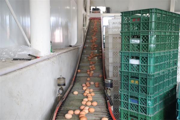 1619567760353487.jpg 1619567760353487.jpg