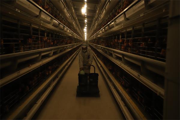 1619366488235383.jpg 1619366488235383.jpg