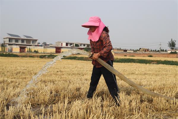 1602283256381277.jpg 1602283256381277.jpg