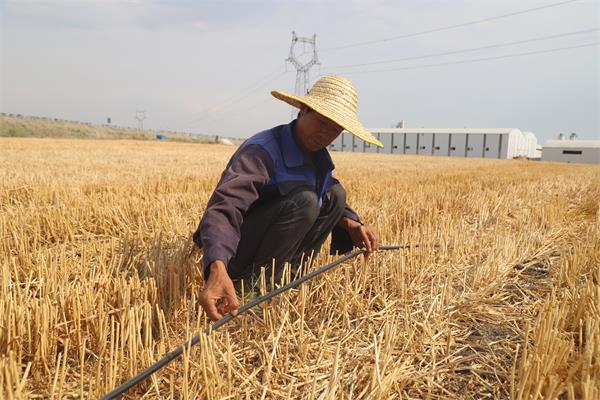 1602279801721160.jpg 1602279801721160.jpg